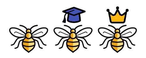 bees bees